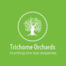 Trichome Orchards